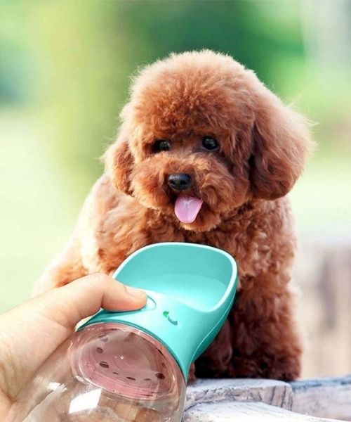 Tragbarer Wasserspender für Welpen